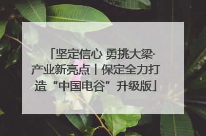 坚定信心 勇挑大梁·产业新亮点丨保定全力打造“中国电谷”升级版